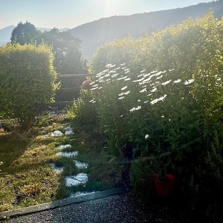 La Casetta Del Mirtillo Rosso Santo Stefano dʼAveto Esterno foto