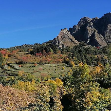 La Casetta Del Mirtillo Rosso Santo Stefano dʼAveto Esterno foto