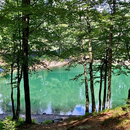 La Casetta Del Mirtillo Rosso Santo Stefano dʼAveto Esterno foto