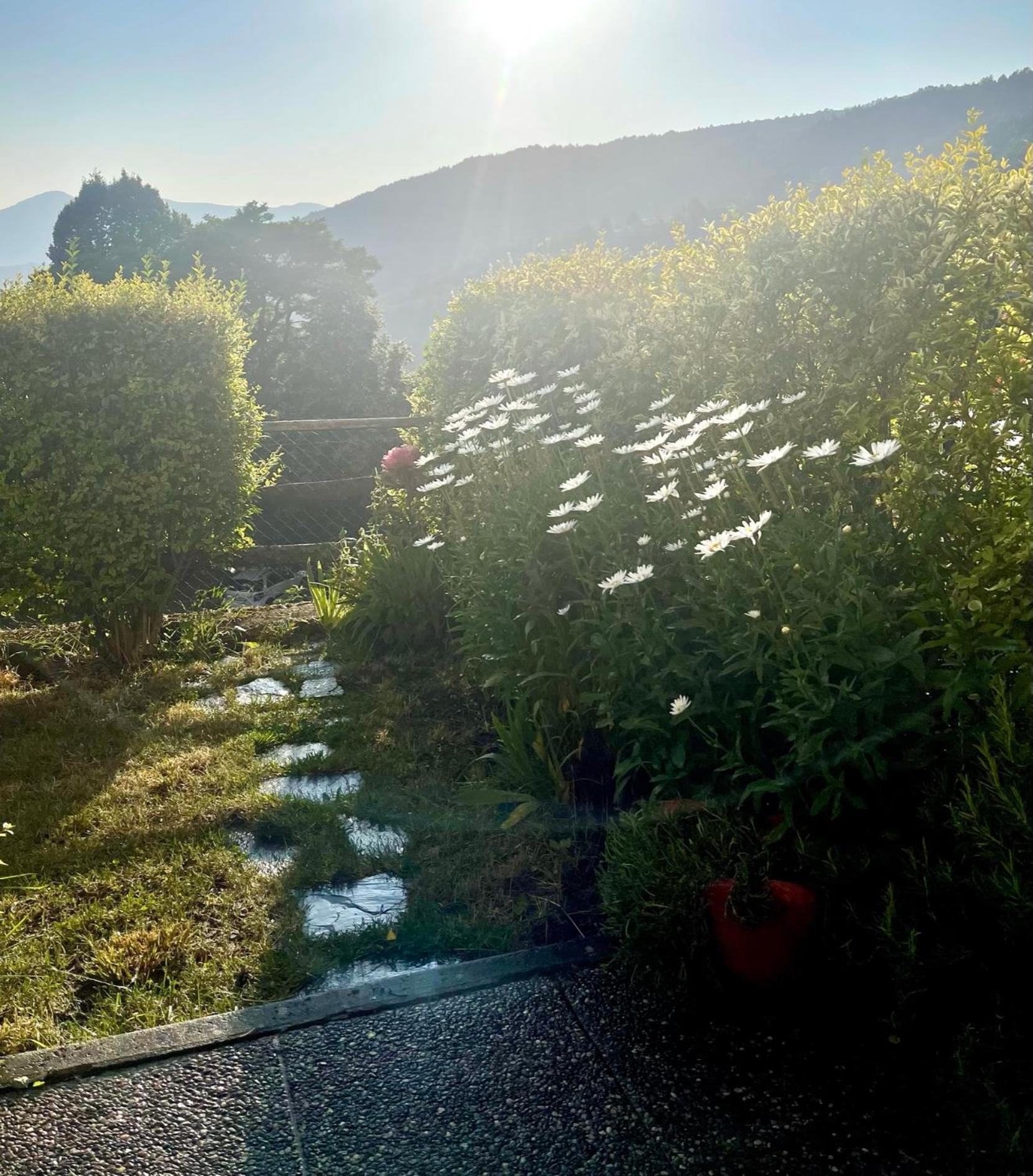 La Casetta Del Mirtillo Rosso Santo Stefano dʼAveto Esterno foto