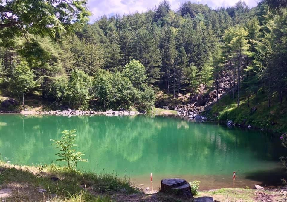 La Casetta Del Mirtillo Rosso Santo Stefano dʼAveto Esterno foto