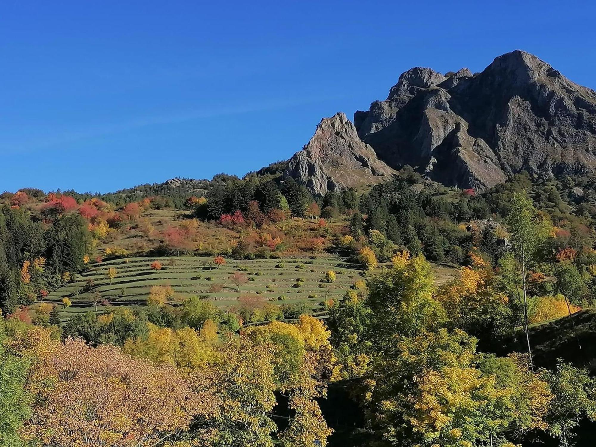 La Casetta Del Mirtillo Rosso Santo Stefano dʼAveto Esterno foto