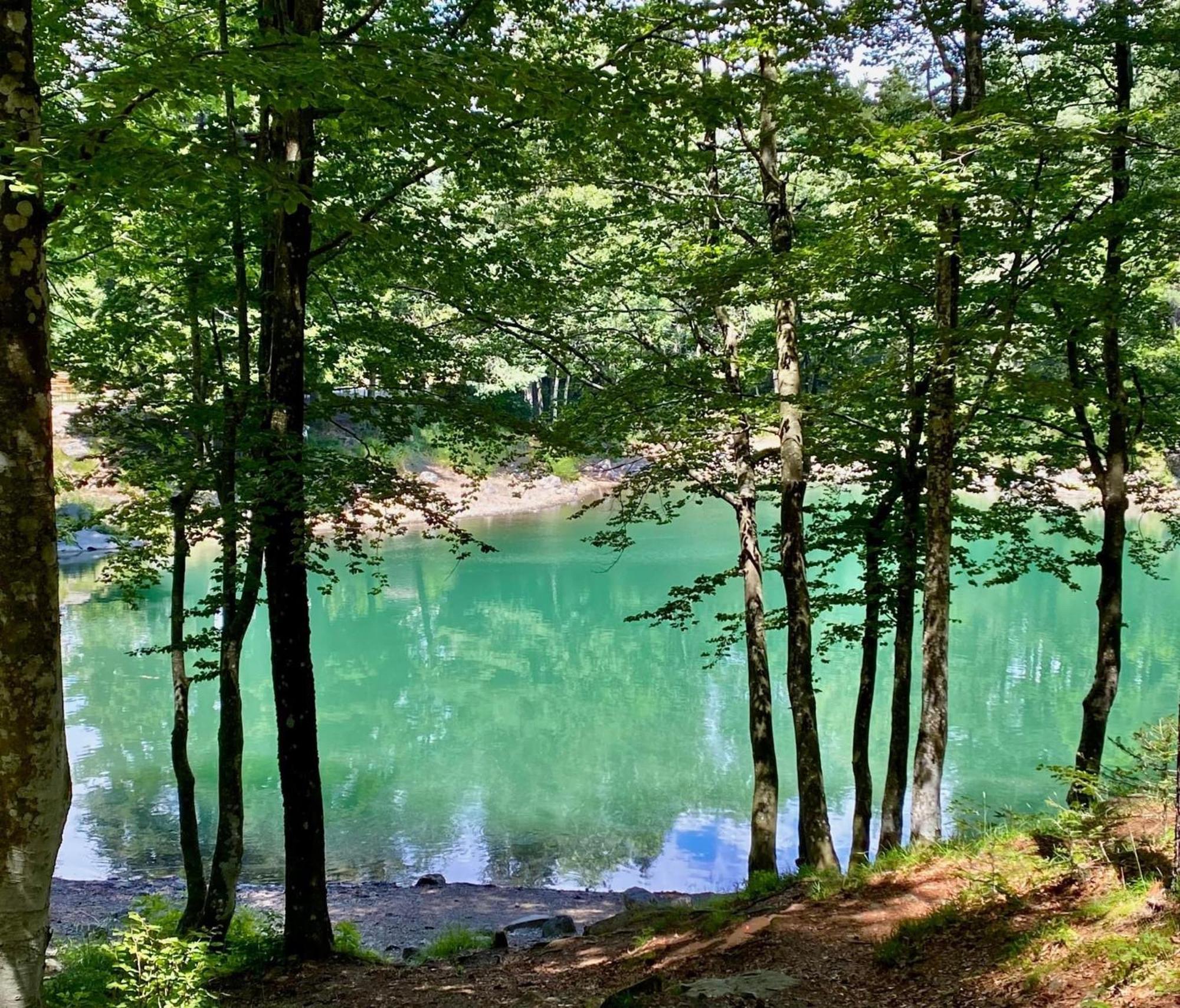 La Casetta Del Mirtillo Rosso Santo Stefano dʼAveto Esterno foto